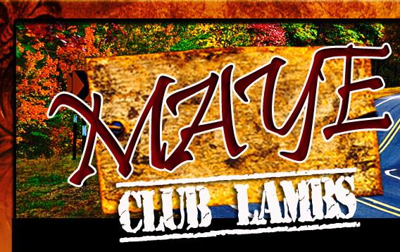 Maye Club Lambs